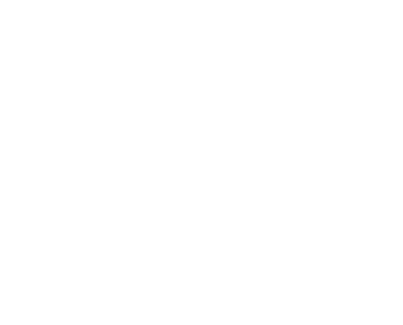 Choreographer Director PLaywright Filmmaker